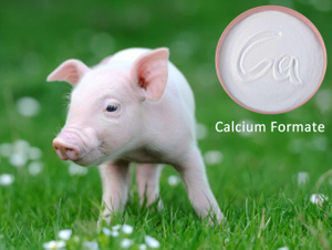 Polifar Calcium Formate.jpg